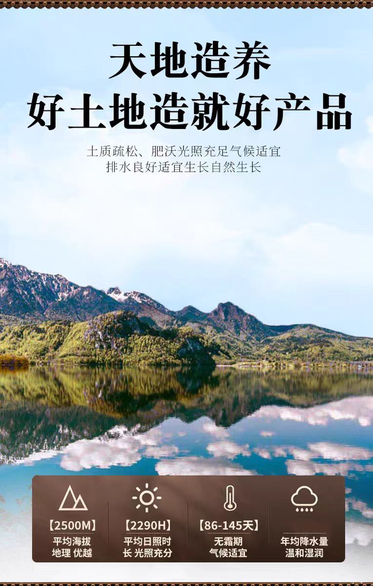 Wild Guangxi Shuang Shen Zi (Double Kidney Seed) — Dried Herbal Fruit for Wine Infusion & TCM Blends overview