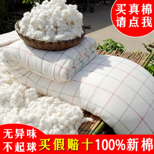 5ZWȫ�ޱ�о����10��Ӻ�ů�ֹ��޻�������̥�p�˴�䁉|������