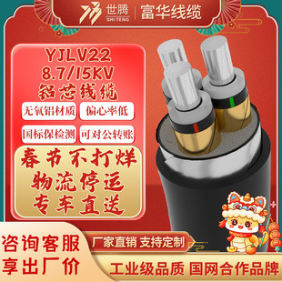 YJLV22�߉���|3о*5 50 70 95 120 150 300ƽ�Xо�����z�b��|��