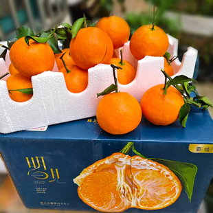 �Ĵ�üɽ����Ҋ���ٮ������r����ˮ���Fժ�F�l����5��8������b