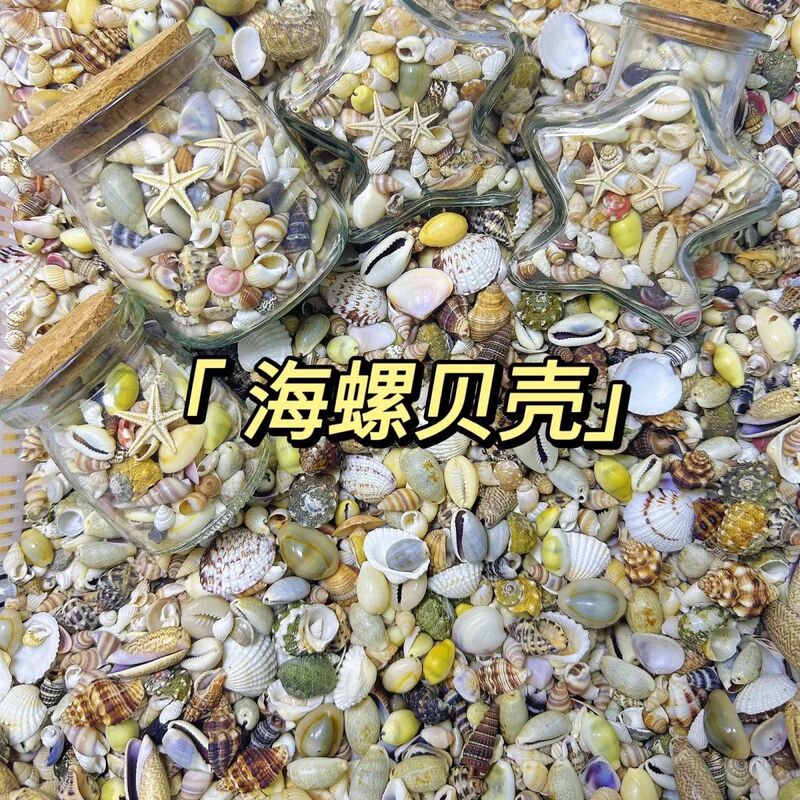 Mixed Conch Shell Set, Drift Bottle, Wishing Bottle, Decorative Materials, Handmade DIY Accessories, Cross-Border Supply Mixed Conch Shell Set, Drift Bottle, Wishing Bottle, Decorative Materials, Handmade DIY Accessories, Cross-Border Supply
