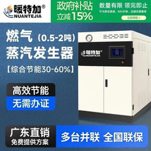 高效节能燃气蒸汽发生器工业商用大功率快速加热蒸汽机热水锅炉