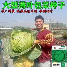 ������˷N�ӾG���{���ƽ�^���Ĳ˷N���F�^�˰��Ĳ��·N�ﶬ�ͺ�