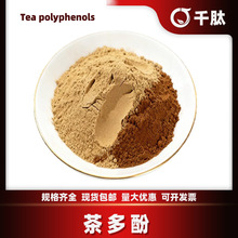 茶多酚 食品级茶多酚浓缩萃取 抗氧化儿茶素绿茶提取物