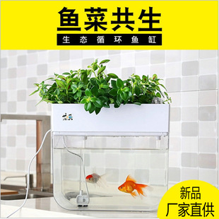 Wholesale sprouts seedling plate fish and vegetable symbiosis aquarium fish planting flowers and vegetables plastic desktop small flower fish
