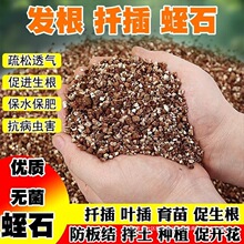 ��ʯ�@ˇǤ���B�������w���������������¼�����l�����|�Nֲ����