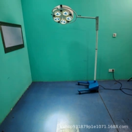 个人护理电器;医疗灯具;康复理疗设备