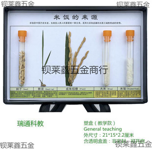 �׃��@����ģ�ͽ̌W��ֲ��ֲ��l�F���ﺣ������˱��˱����x�ƌW