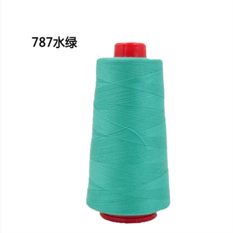 암갈색 787 아쿠아