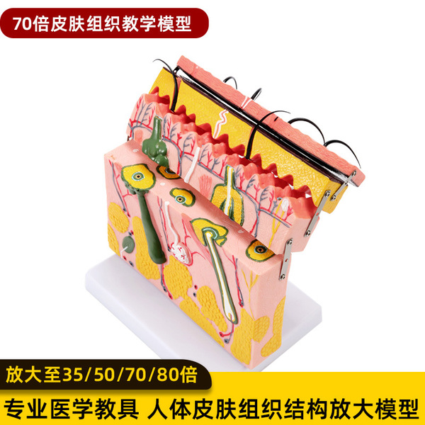 Physiological medicine postoperative three dimensional skin…