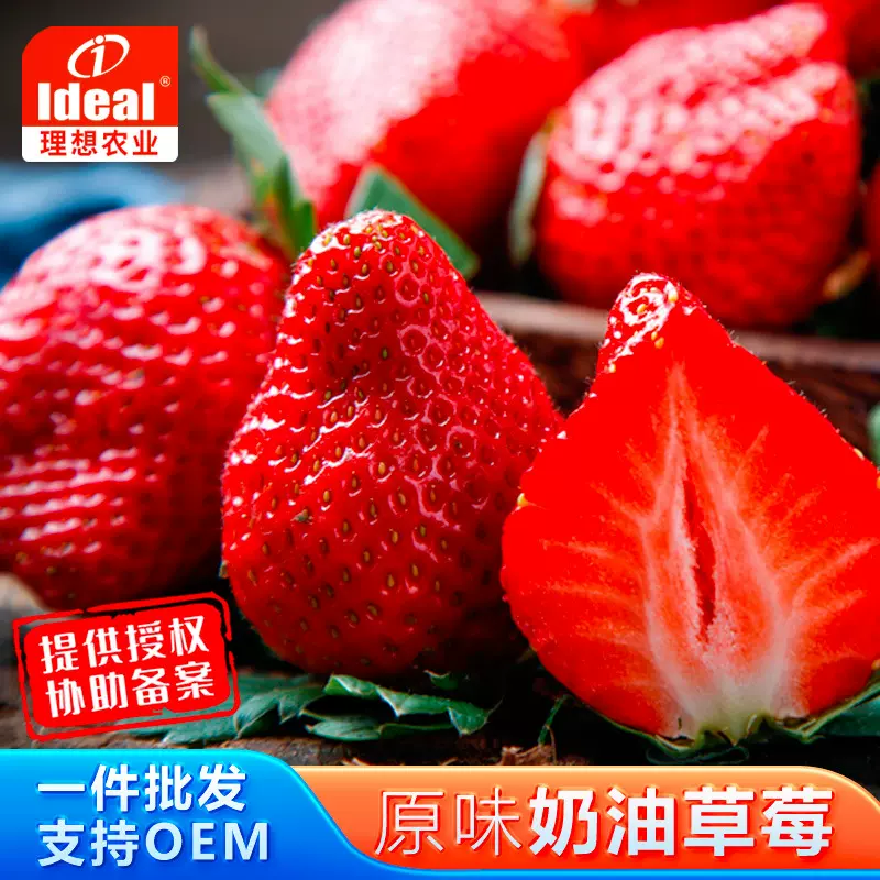 理想红草莓种子蔬菜种子农家庭院办公室种植可食水果红白草莓种籽