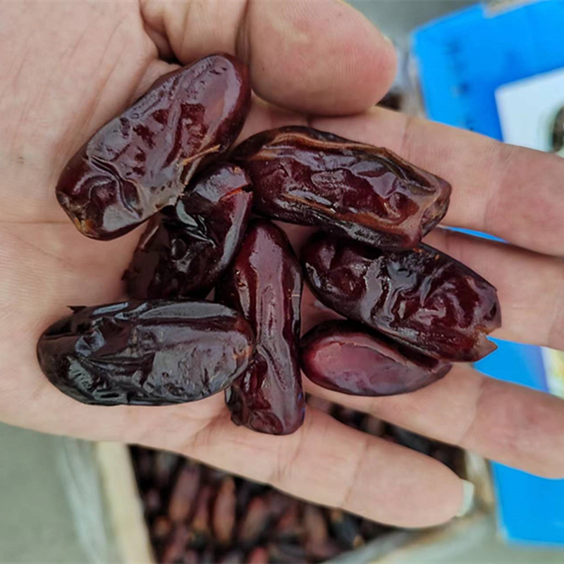 微信圖片_20220802211352_副本