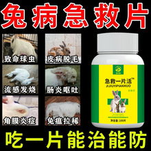 ���ӱ؂���Ʒ������xș������������x�Ѽ����x�A���������Ӳ�