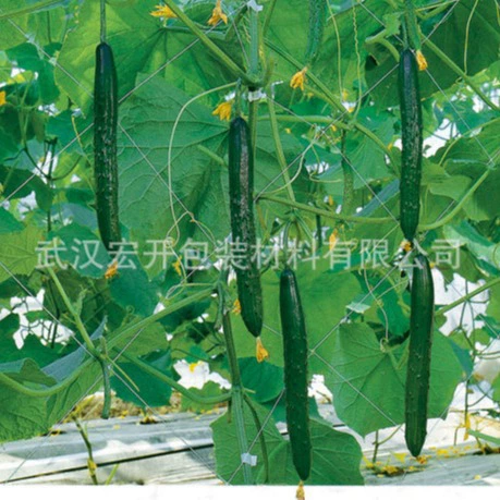 Экструзионное формование для виноградных растений