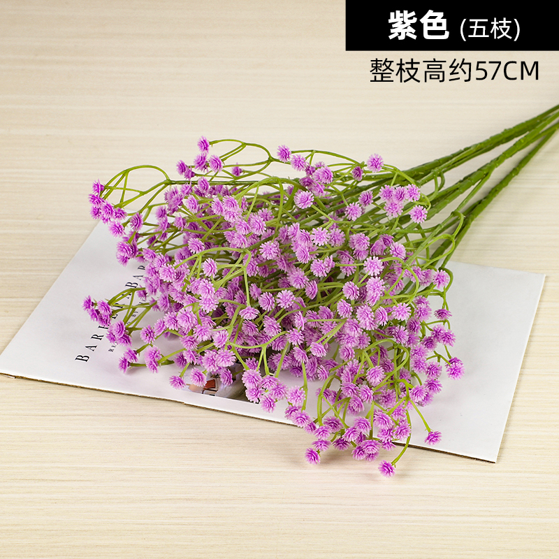 보라색 별 5 가지