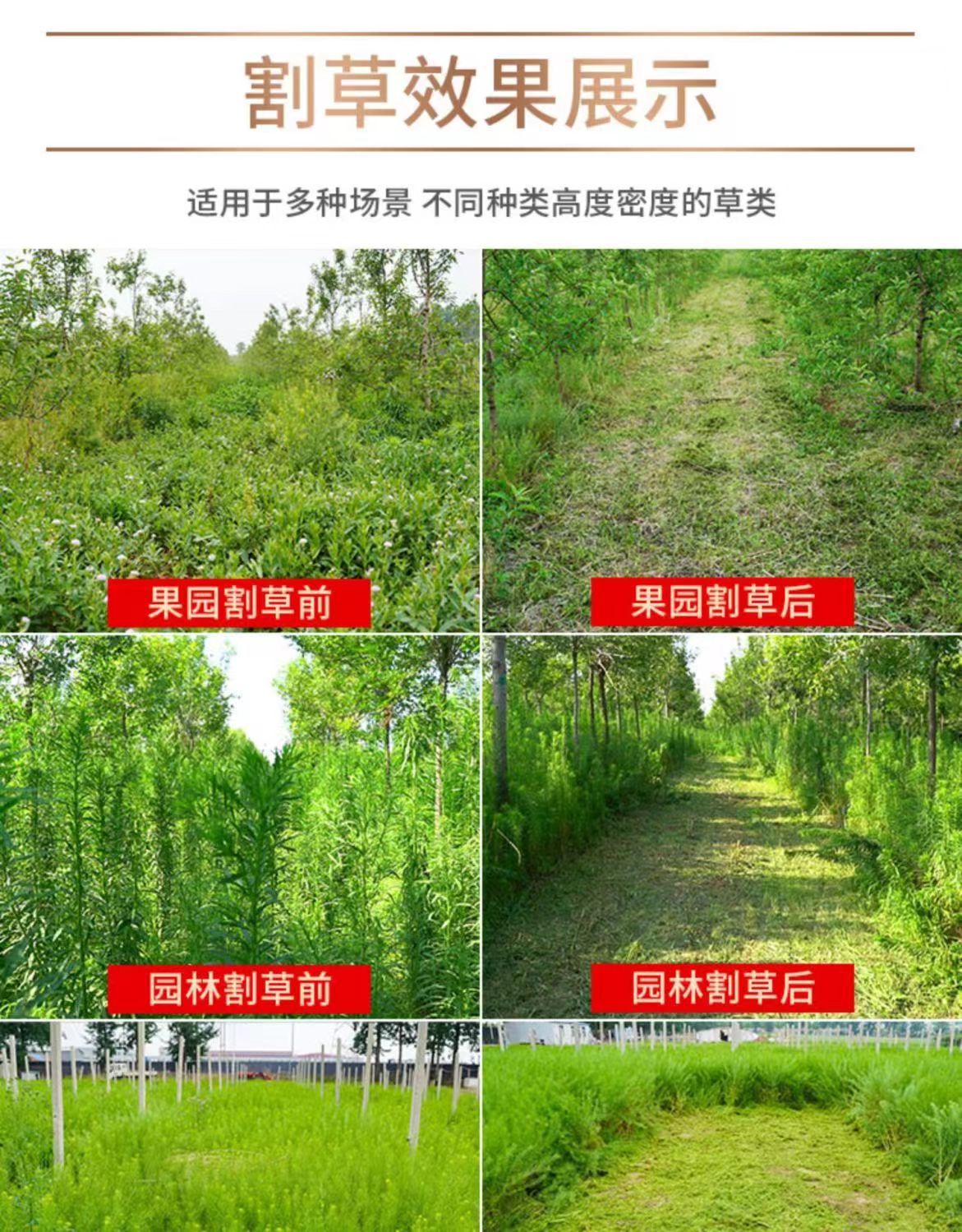 微信图片_202305221639159