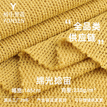 新品 230g进口涤纶绵光捻宙毛圈布 秋冬日韩衬衫休闲服针织面料