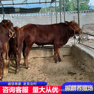 ��ľٝţ��ţ�Bֳ��ľٝţ�����u�������Rţ�r��