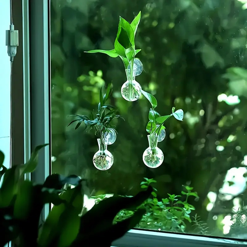 国境を越えた水培緑羅植物瓶プラスチック吊り下げ家庭園芸装飾アクリル壁掛け透明花瓶|undefined