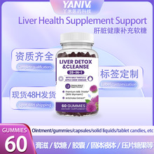 Liver Health Supplement Support P肝脏健康补充奶蓟草软糖现货