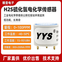 ���⴫������ֳ���ǻ۹�������վ�ж��к�����H2S�绯ѧ������