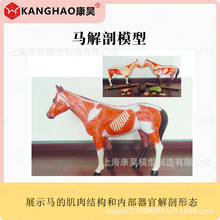 �R����ģ�̈́������ټ��������F�t�̌W�˱��i��؈ţ�ɲ�ж����ģ��