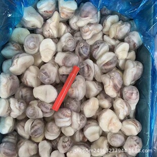 �ɶ����l������� ȫ�������� ���������U���� �����;Ƶ�ʳ��