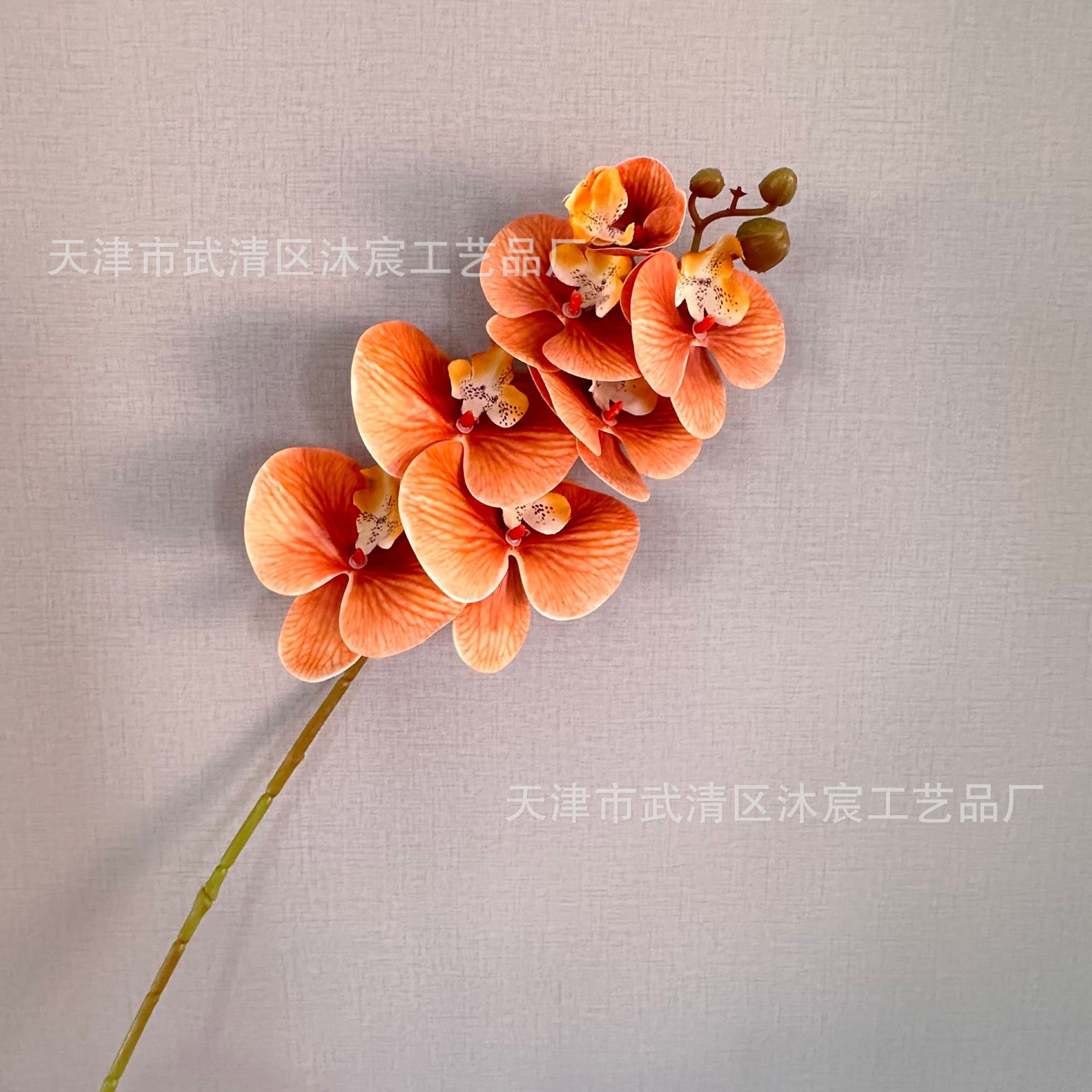 3D 7-cabeza Phalaenopsis mano-sensación de película Phalaenopsis venta al por mayor boda hogar decoración floral tiro flor material