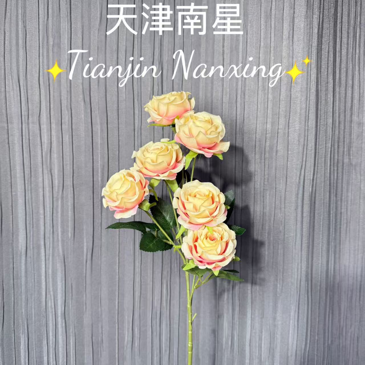 생강