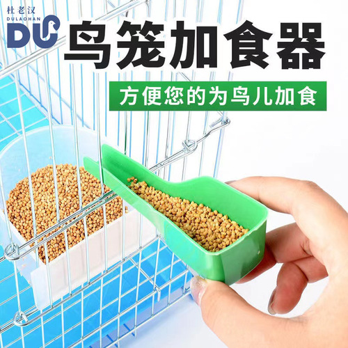 Offering to deliver 500g of bird food: millet-based parrot feed, pet bird food, including five-color millet, tiger-beetle seed mix, peony grain, and cockatiel-friendly feed.