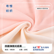 厂家现货供应 氨纶超柔 银狐绒 毛绒玩具家纺服装外套抱枕 用料