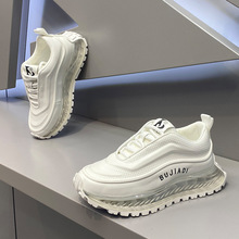 jjЬ2025¿ļrг͸W\ӰЬ|eСЬ