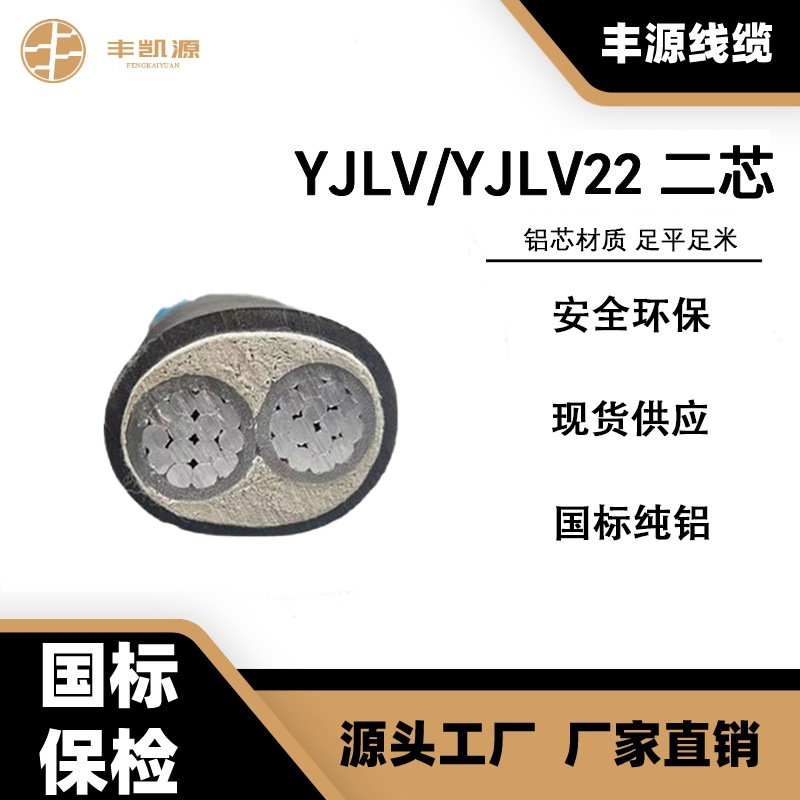 ZR-YJLV铝芯电缆ZC-YJLV22 2*16/25/50/70带铠装地埋吕芯电力电缆