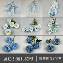 �¿��c���Ż����滨��Y�����b���·������Y�ٻ��{ɫ���滨