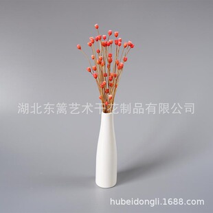 �����옷���ɻ�˼�w��ֲ�����С����ˇ�g�ɻ��Ĕz����diy���z��