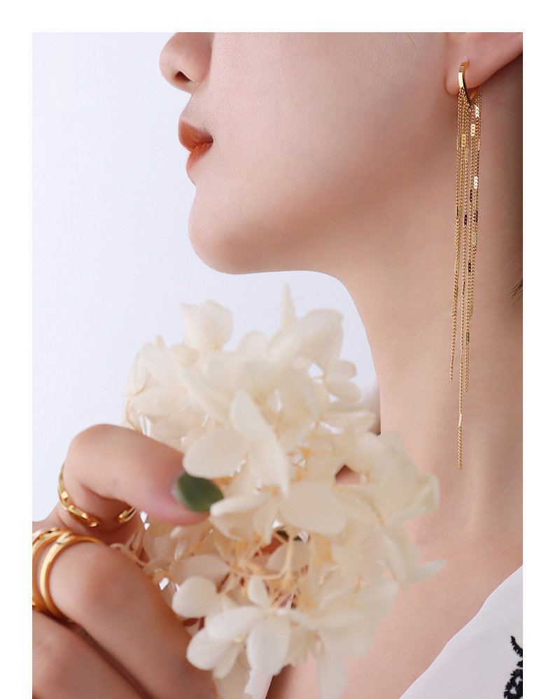 Simple Fashion Long Tassel Titanium Steel Ear Jewelry display picture 2
