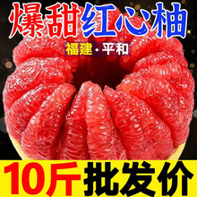 【超甜】福建红心柚子当季新鲜水果整箱现摘白心平和红肉蜜柚薄皮