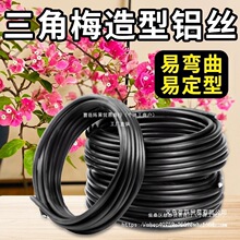 ����÷�辰�����X�z�X���P���X�z������@ˇ�F�z���ܶ���ꇹ��A��