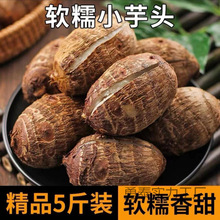 ţ��С��ܵ���^���r����������^�F��ë����С�������b����