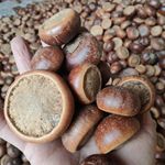 风流果 石马蹄 山马蹄马蹄子50-1000克