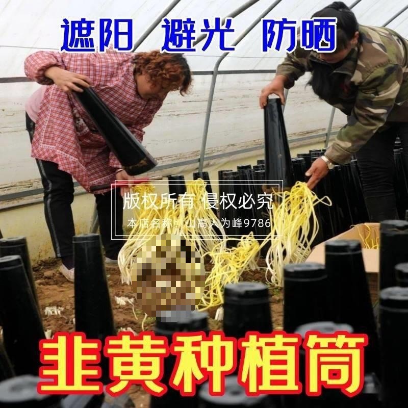 上面照遮阳盖韭菜韭黄帽子防晒种植套蒜黄避庶光桶黑的罩子筒