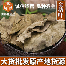 中药材金橘叶批发桔叶新货无硫金桔叶产地货源金桔叶