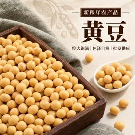 豆类;麦类;其他五谷杂粮