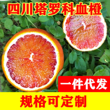 四川塔罗科玫瑰血橙新鲜孕妇水果批发价中华血橙红心橙子资中血橙