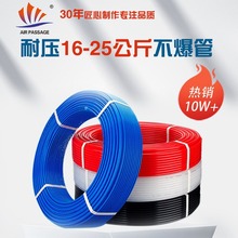 SֱN ߉ͺϹ T | p102030