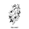 TBS-8487