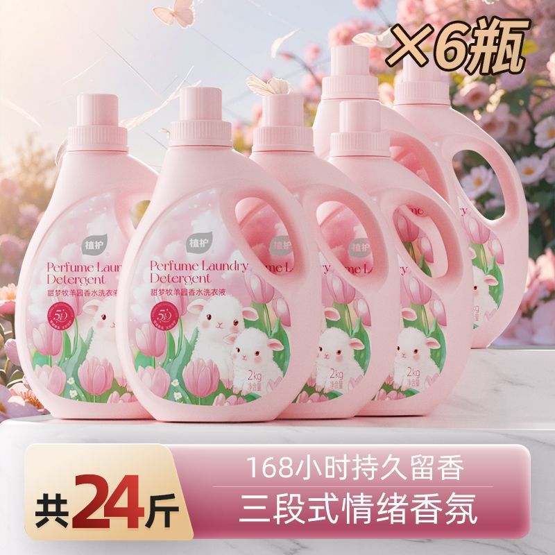 저렴한 스타킹 : 대형 6병 x 2kg [ 12kg 팩 ]