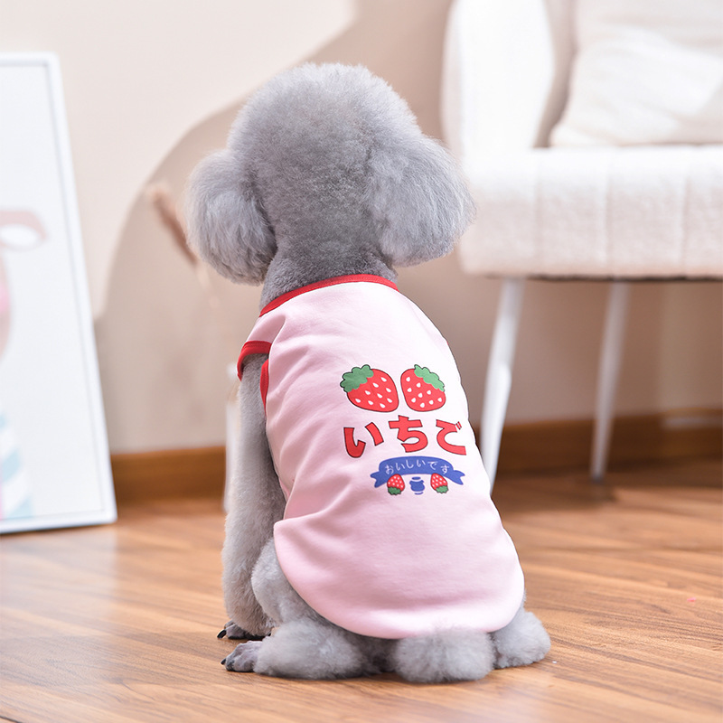 (2개) INS 스타일 애완 동물 고양이 옷 중소형 개 딸기 귀여운 조끼 가을, 겨울 뉴 코기 프렌치 불독 바닥 셔츠