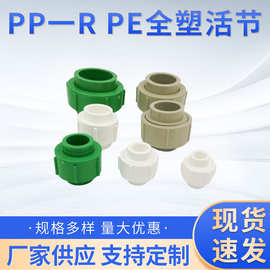 PPR全塑活接止回阀过滤器活接头20 4分25 6分水管管材管件配件