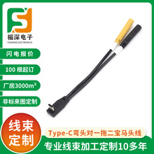 �ǘ˾������ď��^Type-C�Dһ�϶����R���x܇�Б�����܇���b���x��